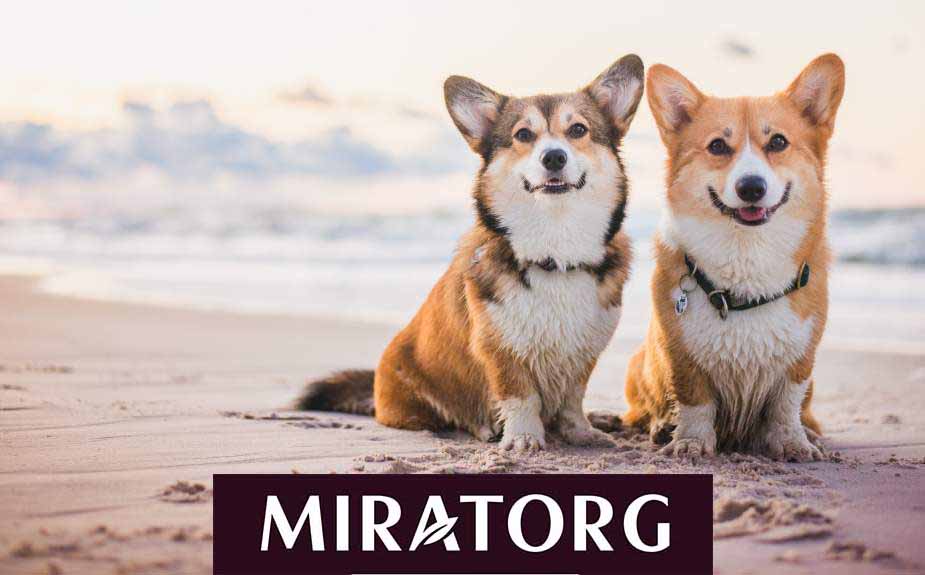 Every dog loves Miratorg food